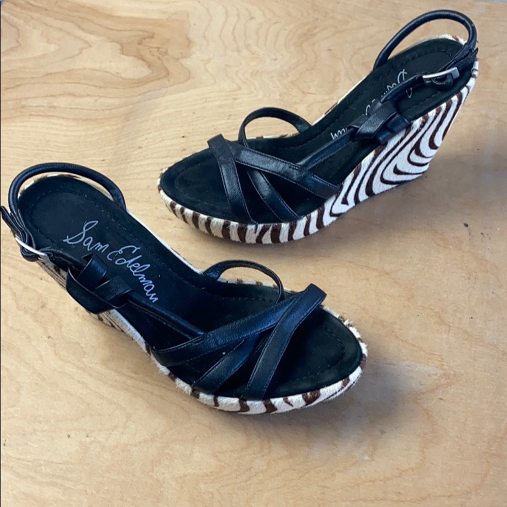 Zebra Platforms